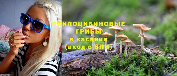 а пвп мука Пересвет