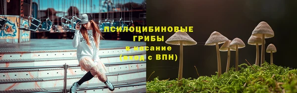 экстази Переславль-Залесский
