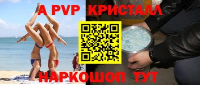 спиды Гатчина