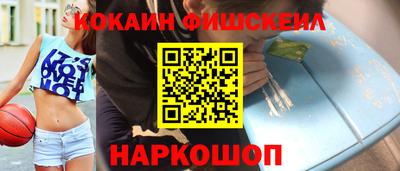 спиды Гатчина
