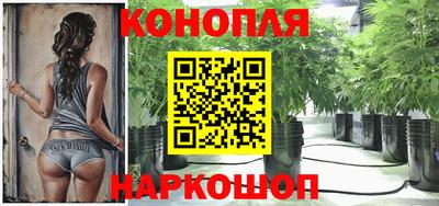 бошки Гай