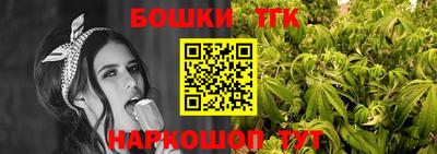 спиды Гатчина