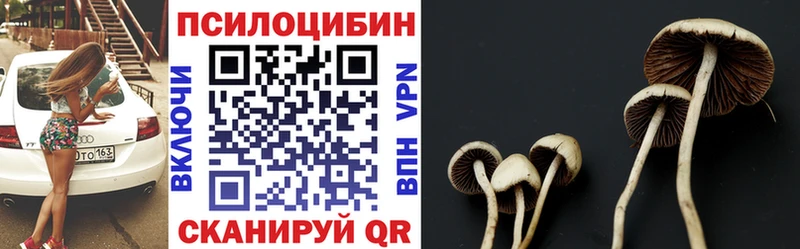 Псилоцибиновые грибы Cubensis KRAKEN рабочий сайт Камышин