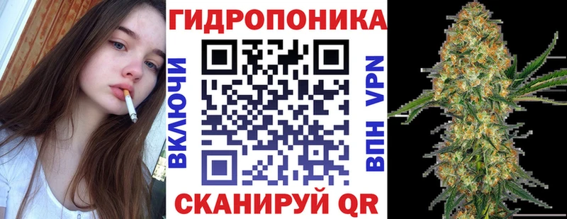 Конопля индика  Камышин 